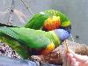 DSC01757.JPG
