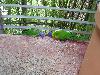 DSC01767.JPG
