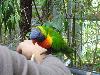 DSC01768.JPG