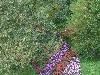 DSC01776.JPG