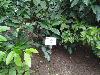 DSC01795.JPG