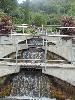 DSC01801.JPG