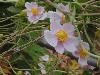 DSC01823.JPG