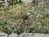 DSC01827.JPG