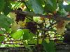 DSC01835.JPG