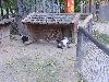 DSC01867.JPG