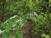 DSC01871.JPG