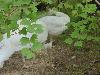 DSC01872.JPG