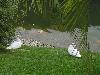 DSC01877.JPG