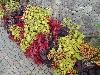 DSC01878.JPG