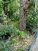 DSC01899.JPG