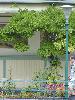 DSC01908.JPG