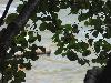 DSC01910.JPG