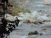 DSC01912.JPG