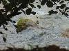 DSC01914.JPG