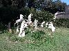 IMG 20141011 121017.jpg
