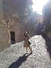 DSC02093.JPG