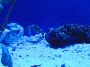 DSC02107.JPG