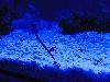 DSC02110.JPG