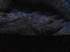 DSC02117.JPG