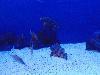 DSC02135.JPG