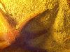 DSC02155.JPG