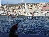 DSC02204.JPG