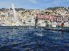 DSC02208.JPG