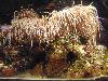 DSC02230.JPG