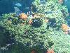 DSC02253.JPG