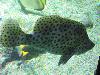 DSC02279.JPG