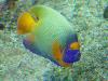 DSC02284.JPG