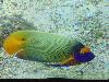 DSC02287.JPG