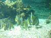 DSC02296.JPG