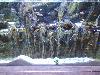 DSC02316.JPG