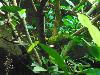 DSC02317.JPG