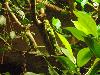 DSC02318.JPG