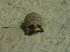DSC02320.JPG