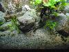 DSC02328.JPG