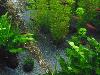 DSC02330.JPG