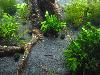 DSC02331.JPG