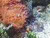 DSC02335.JPG