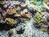 DSC02339.JPG