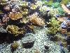 DSC02340.JPG