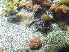 DSC02343.JPG