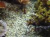 DSC02345.JPG