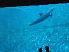 DSC02346.JPG