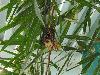 DSC02358.JPG