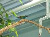 DSC02370.JPG