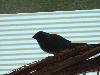 DSC02371.JPG